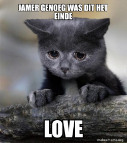 Confession Cat