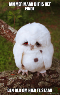 Sad Owl
