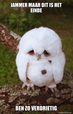 Sad Owl