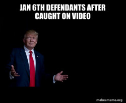 Trump Everything is FIne