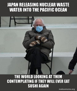 Bernie Sanders at the Inauguration