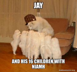 Scumbag Storytelling Dog
