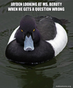 Revenge Duck ( Angry Advice Duck )