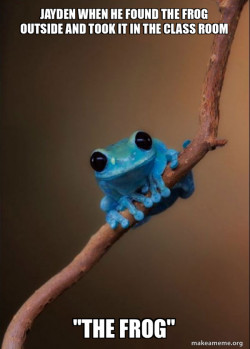 Small Fact Frog