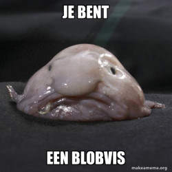 Blobfish