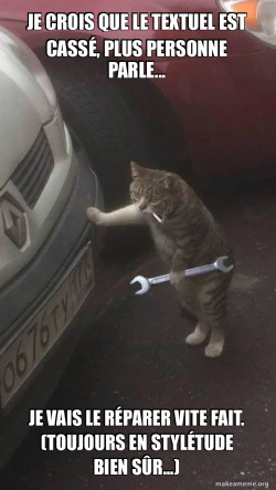 Mechanic Cat