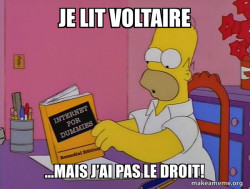 Internets Homer