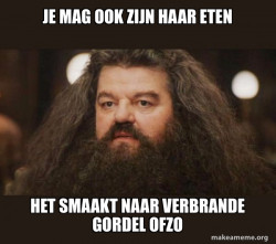 Hagrid - I should not have said that