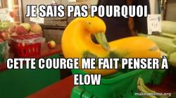 Gourd Advice Mallard