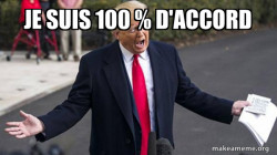 Trump - Impeachment Quid Pro Quo