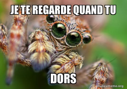 Hipster Spider