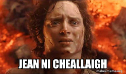 Frodo it's over it's done