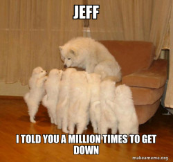 Storytelling Dog