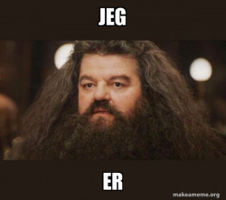 Hagrid - I should not have said that