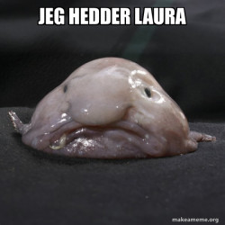 Hehe