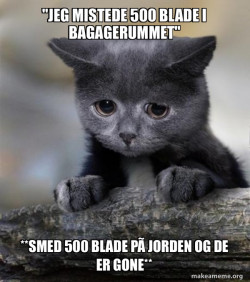 Confession Cat