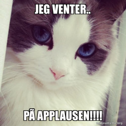 Ridiculously Photogenic Cat