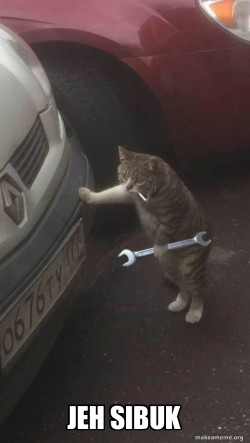 Mechanic Cat