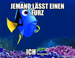 Dory from Nemo  (5 second memory)