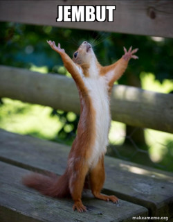 Happy Squirrel
