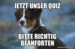 Unsure Dog