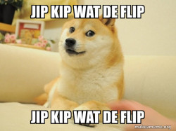 Doge