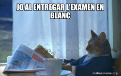 Sophisticated Cat