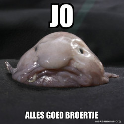 Blobfish