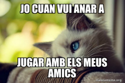 First World Cat Problems