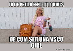 VSCO Girl