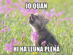 Baby Insanity Wolf