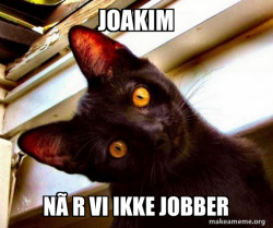 Overly Attached Cat