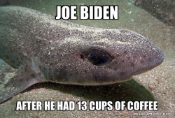 Dirty Joke Dogfish