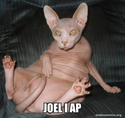 Hairless Cat