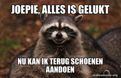 Evil Plotting Raccoon