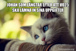 First World Cat Problems