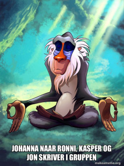 Rafiki Meditating - Lion King