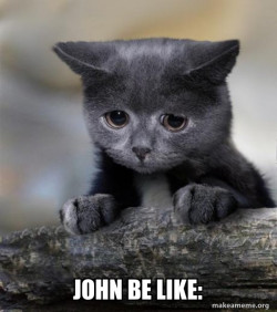 Confession Cat