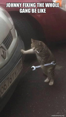 Mechanic Cat