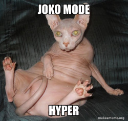 Hairless Cat
