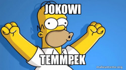 Happy Homer
