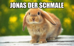 Regretful Rabbit