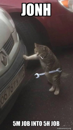 Mechanic Cat