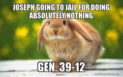 Regretful Rabbit