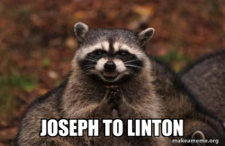 Evil Plotting Raccoon