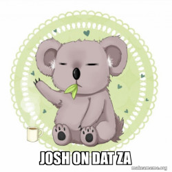 Aussie Koala doing the night shift