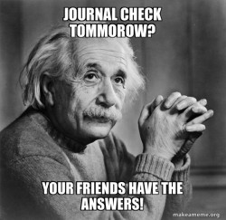 Serious Albert Einstein