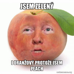 Impeached Donald Trump