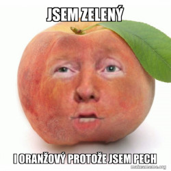 Impeached Donald Trump