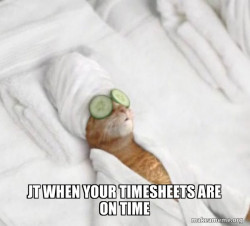 Pampered Cat Meme